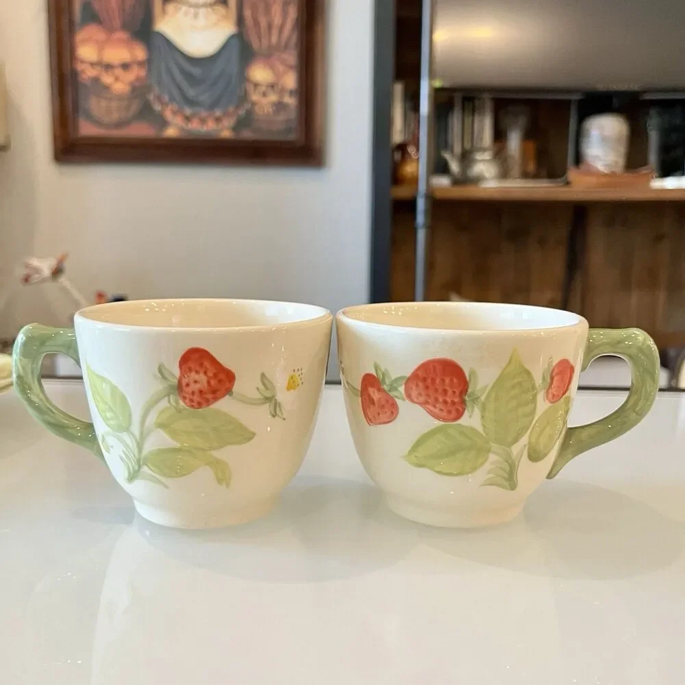 Franciscan Strawberry Fair Cup Saucer Plate Set Vintage Cottagecore Tea Party